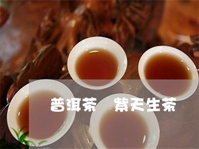 普洱茶 紫天生茶/2023031780381